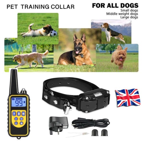 Electric dog shock - electric,