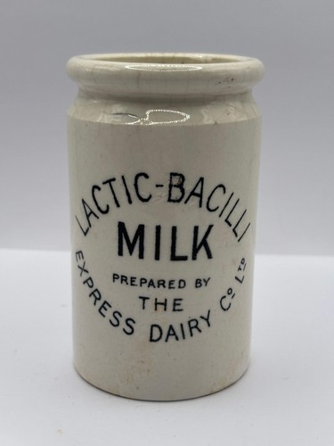 Old rare lactic bacilli - rare, milk