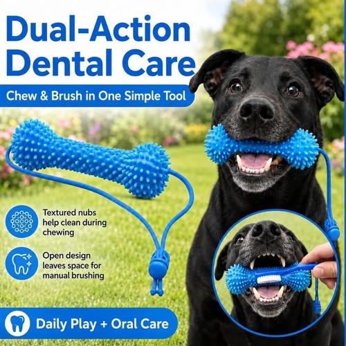 Dual action canine - canine, dental