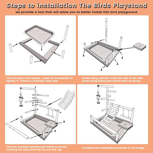 Bird playground parrot - playground, play