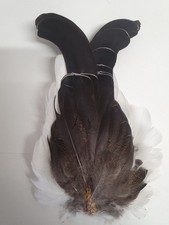 Real Officer, SNCO, Pipes and