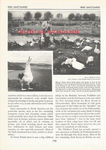 Peter scott wildfowl trust - peter,