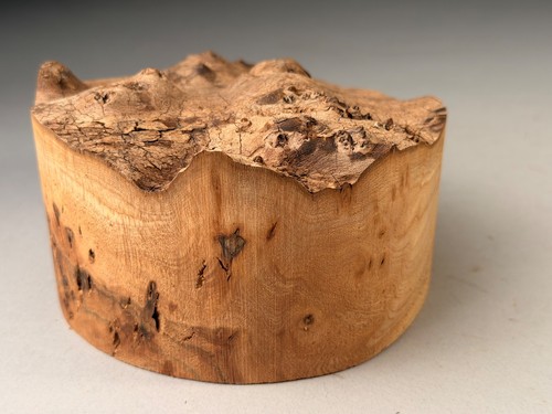 Live edge burr elm - live,