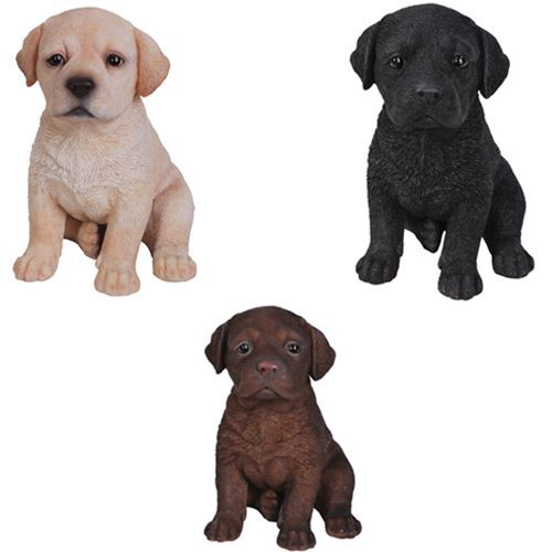 Labrador puppy dog - dog, lifelike