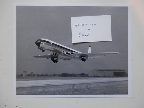 Large original photo bea - original, de