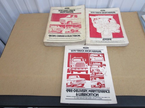 1979 ford truck pickup f100 - 1979,