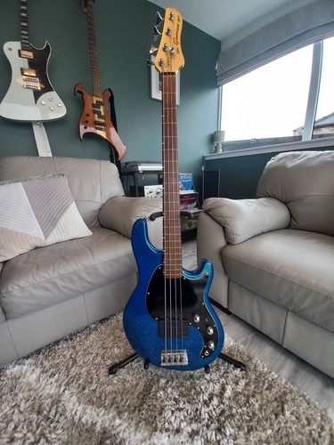 Status graphite fretless - status,