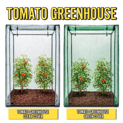 Tomato greenhouse grow - greenhouse, house