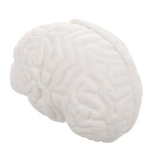  Human Brain Model: Detachable Brain Anatomy Model For Human Anatomy Physiology