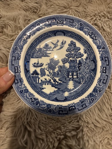 Willow wedgewood warri - wedgewood, warri’s