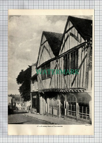 Colchester essex - essex,