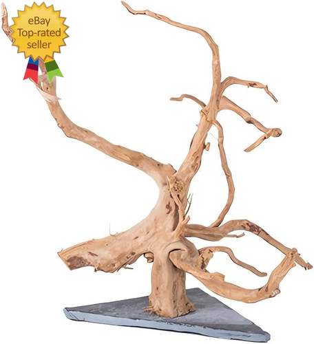 Natural large spider wood - natural,