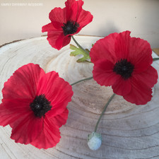 1 Red Artificial Field Meadow Poppy,1 stem, 3 Silk Poppy Heads ,1 bud. 