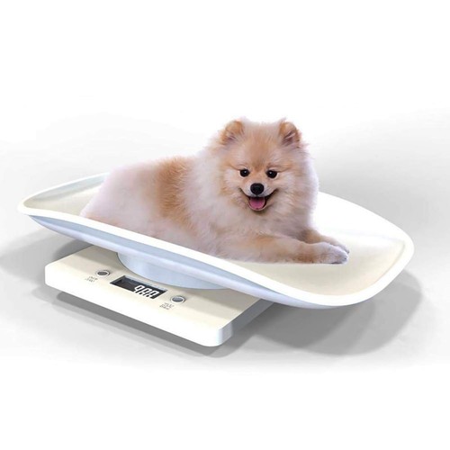 Multi purpose digital dog - multi-purpose,