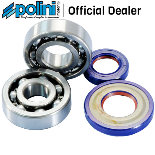 Engine crankshaft overhaul kit - engine,