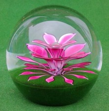 CAITHNESS SCOTLAND FLORAL