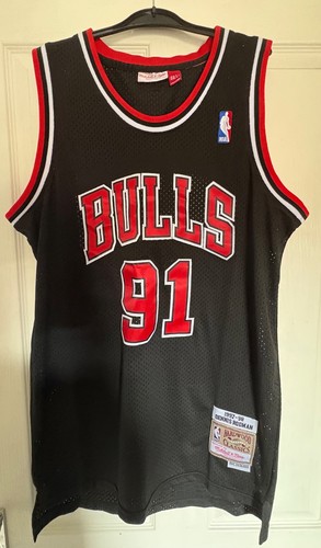 Chicago bulls nba - chicago, dennis