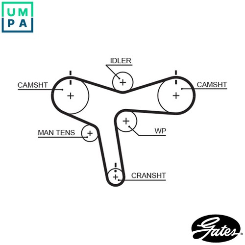 Timing belt 5515xs for - belt,