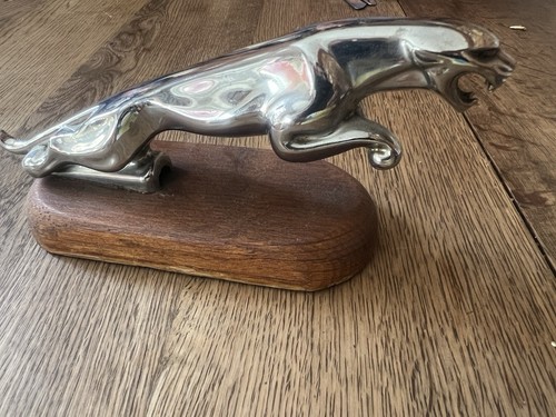 Jaguar mascot originally - jaguar,