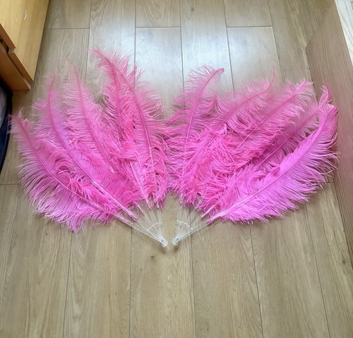 Pair pink ostrich - ostrich, feather
