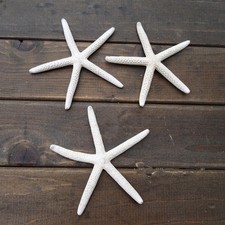 12pcs 10cm sea - 12pcs,