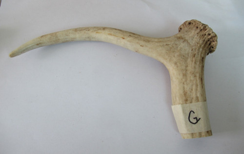 Red deer stag antler coronet - red,