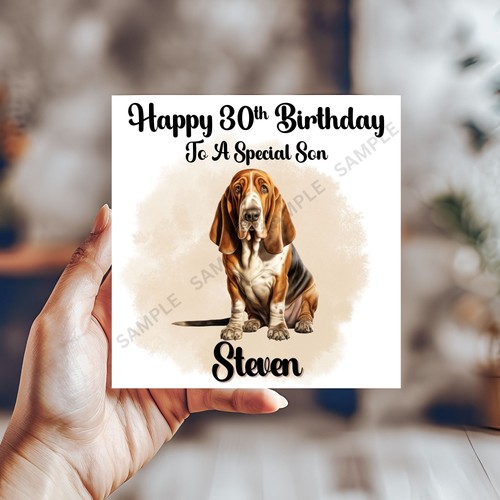 Basset hound dog - basset,