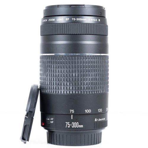 Canon 300mm 5 6 iii - f/4.0-5.6,