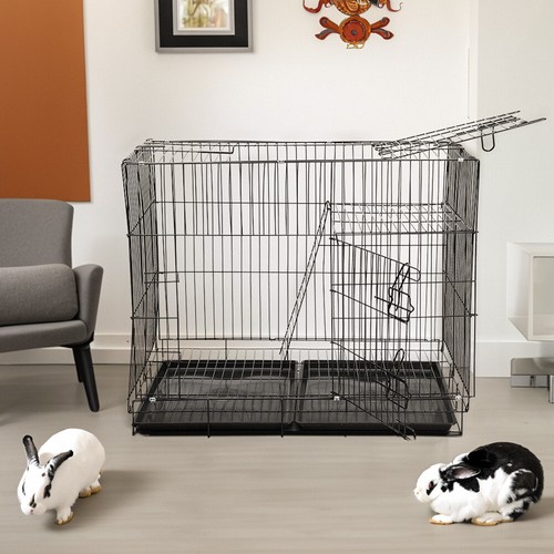 Small animal pet cage indoor - animal,