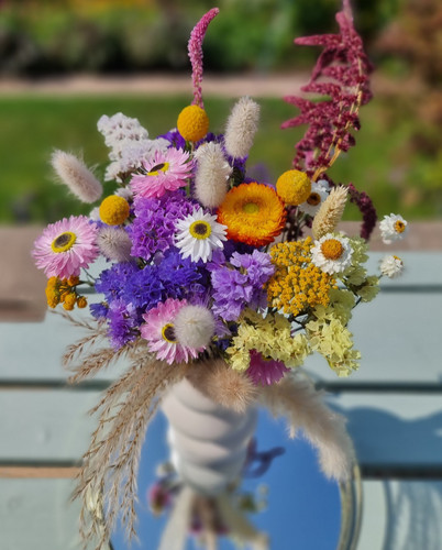 Colourful dried flower - colourful,