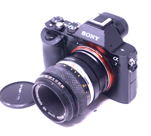 Olympus system auto macro - olympus, auto-macro