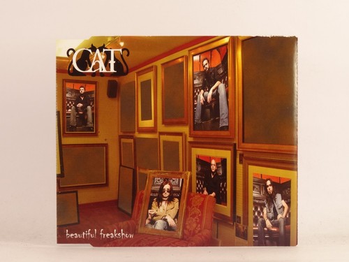 Cat beautiful freakshow - cat,
