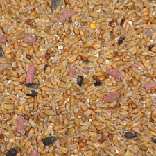 25kg Original Flavour Bird Seeds Seed Mix for Garden Birds / Wild Bird Food