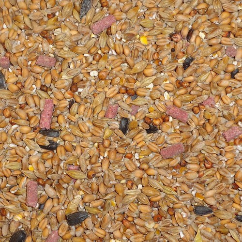 25kg original flavour bird - 25kg,