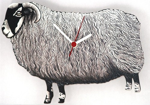 Sheep horned breed wall - sheep,