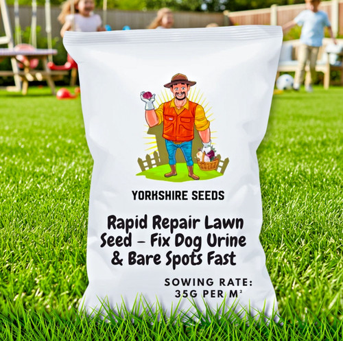 Yorkshire seeds rapid - seeds,