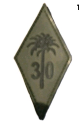 Squadron palm tree - ,