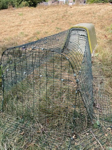 Eglu omlet chicken coop - omlet,