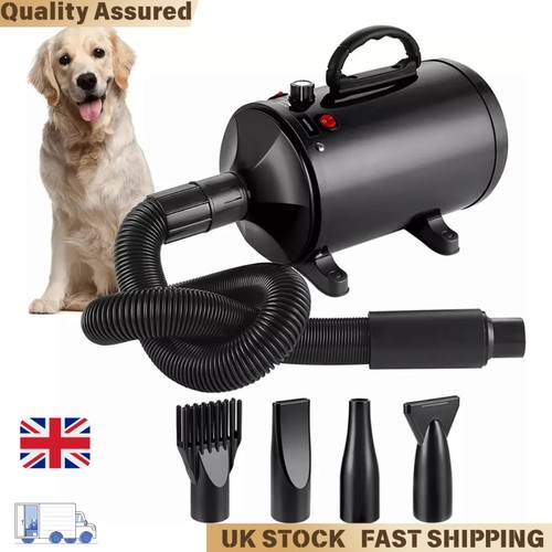 Professional pet hair - hair, dryer