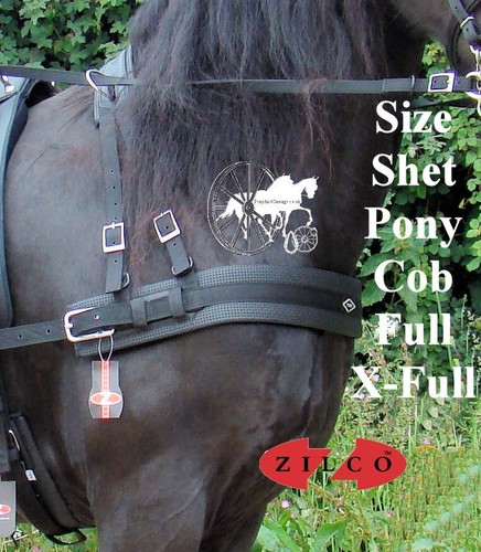 Carriage driving harness - carriage,