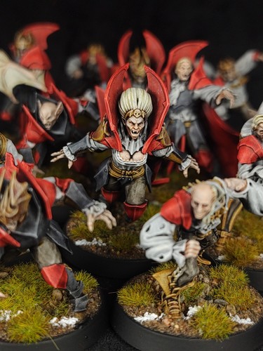 Pro painted blood bowl 14 - blood, bowl,