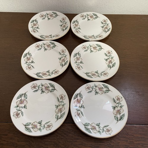 Crown staffordshire dogwood - crown,