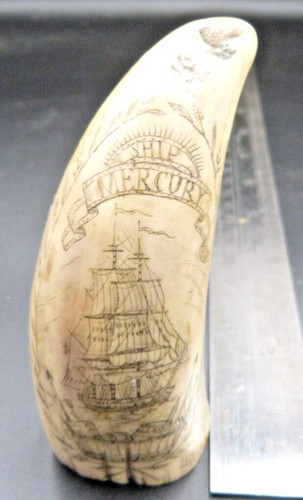 Faux sperm whale tooth - sperm,