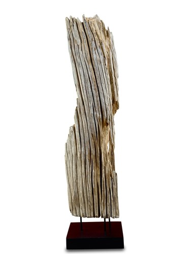 Driftwood sculpture 100 - , cm