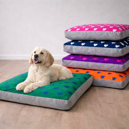 Luxury hearts design dog pet - hearts,