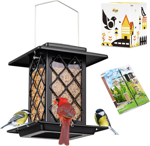 Bird feeders for outdoors - bird,