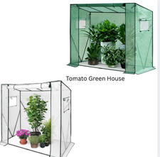 Tomato Greenhouse WalkIn