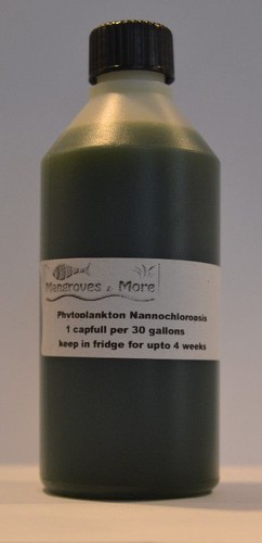 Live marine nannochloropsis - live,