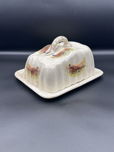 19th century antique pheasant - 19th,