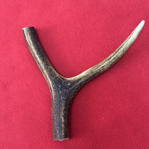 One piece deer antler y - one,
